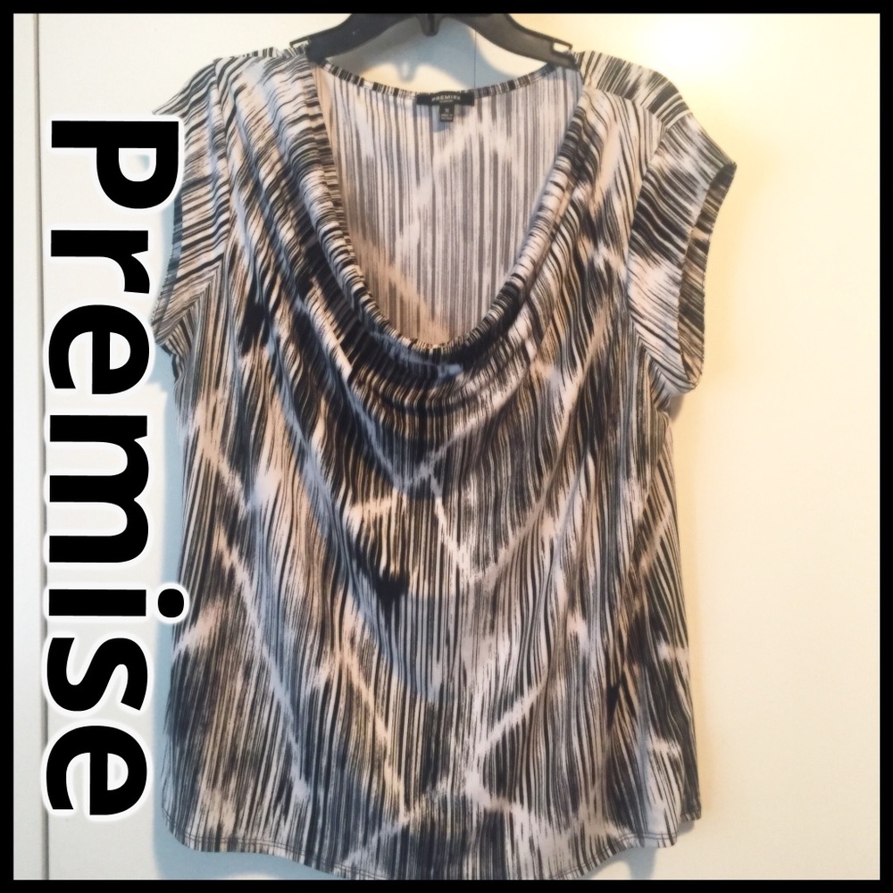 Premise Cowl Neck Top 1x